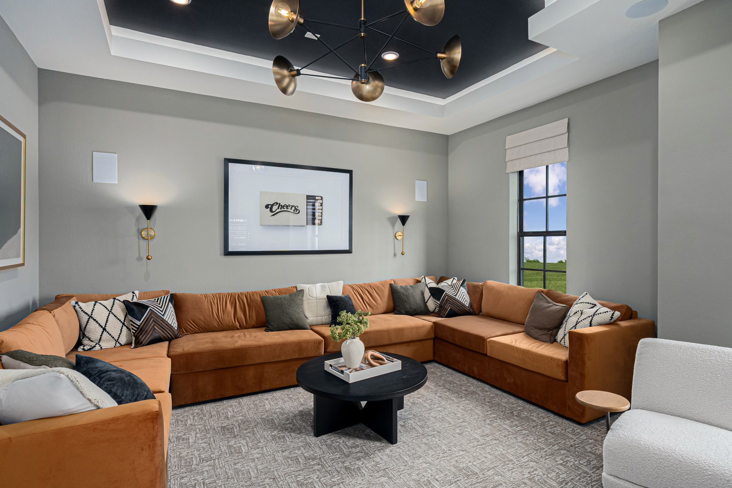 media-room
